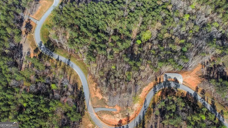 LOT 103 Blalock Mountain Road, Talking Rock, GA 30175 - Image #3