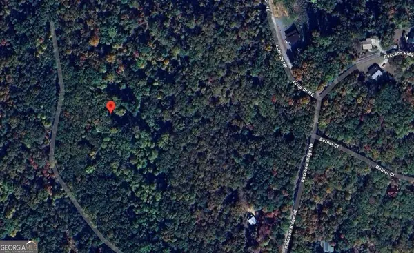 1009 N Cut Drive, Ranger, GA 30734