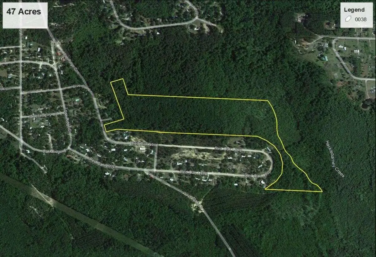 47 +/- ACRES Live Oak Lane, Blackshear, GA 31516 - Image #1