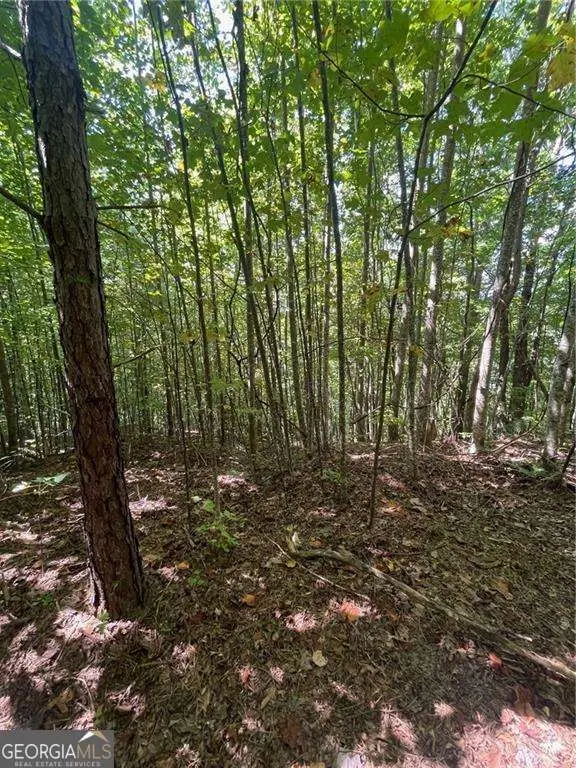 0 Rainwater Trail, Tiger, GA 30576 - Image #3