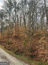 4441 Fincher Road, Canton, GA 30114 - Image #2