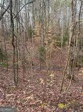 4441 Fincher Road, Canton, GA 30114 - Image #3