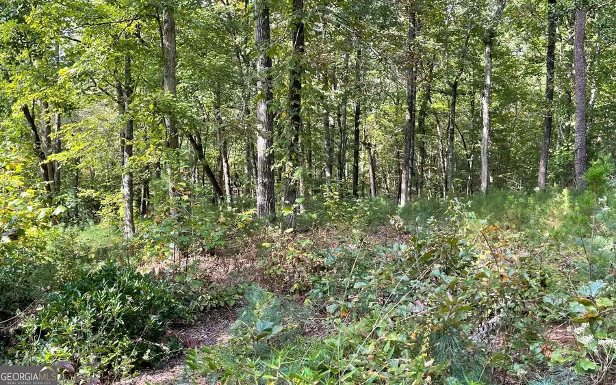 LOT E Timber Ridge, Hayesville, NC 28904 - Image #3