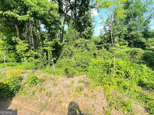 1247 Beechview Drive Se, Atlanta, GA 30316