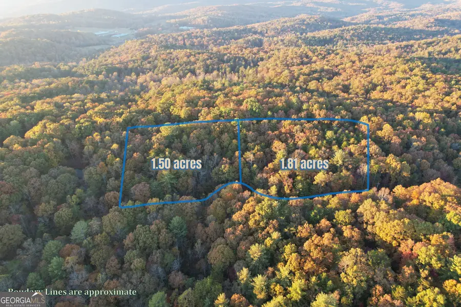 LT 51, 53 Squirrel Hunting Road, Ellijay, GA 30536 - Image #2