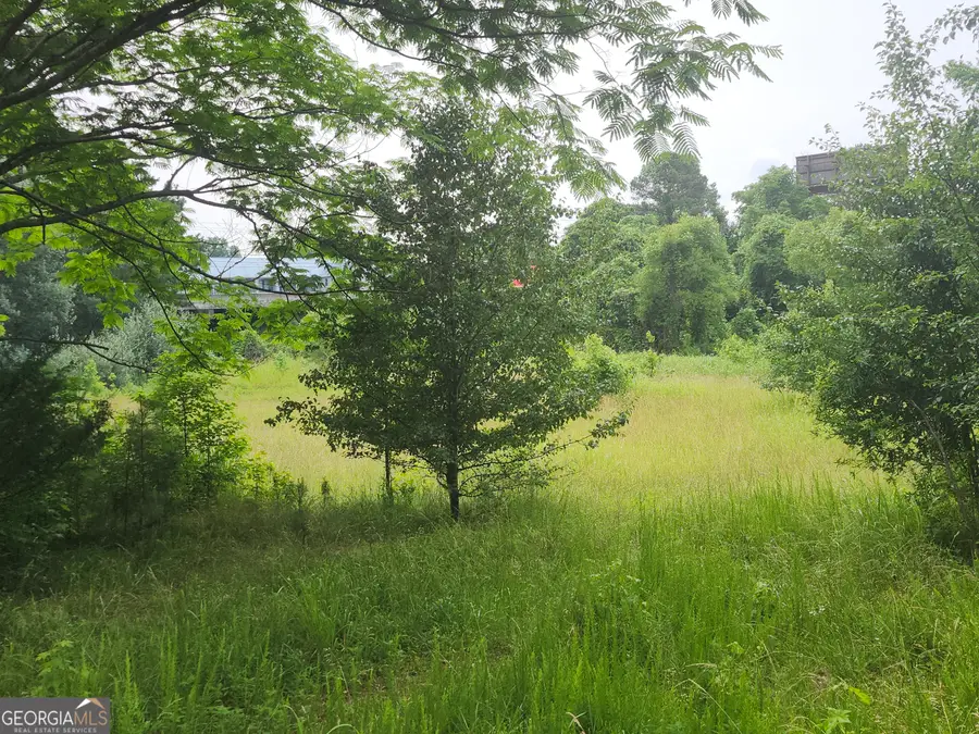 0 Vanns Valley Road Sw, Rome, GA 30161 - Image #3