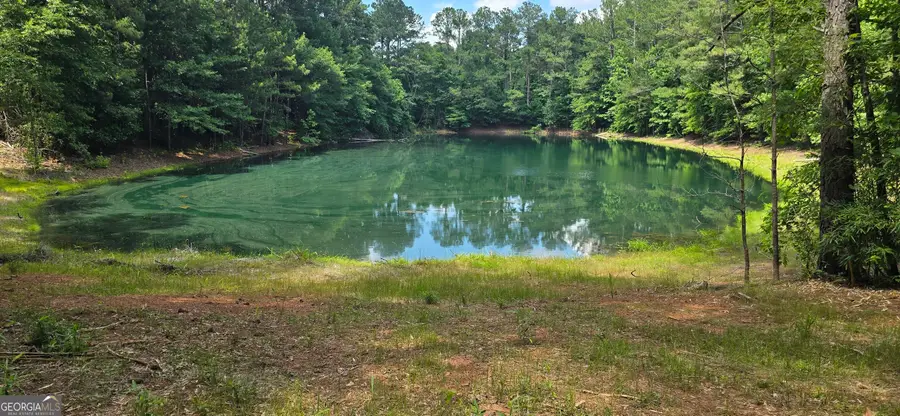 1693 S Mcdonough Road, Griffin, GA 30224 - Image #2