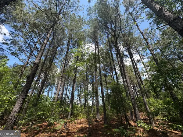 850 Buttermilk Road, Sylvania, GA 30467