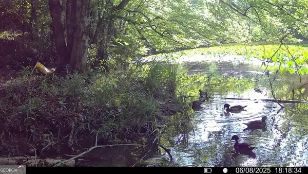 4 Emmaus Drive, Elberton, GA 30635