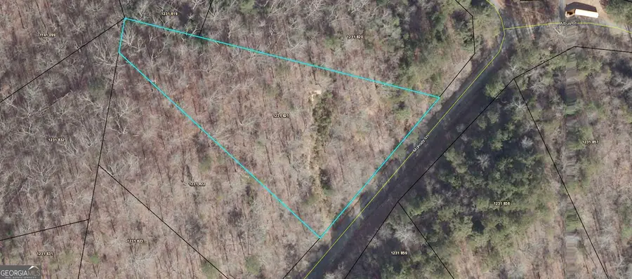 LOT 821 Monody Lane, Ranger, GA 30734 - Image #3