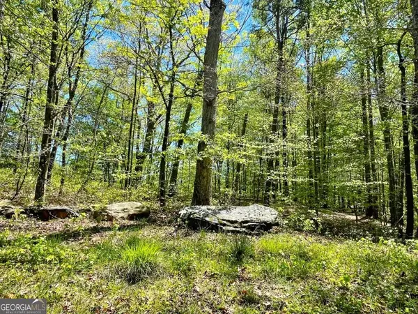 5808 Hensley Road, Lula, GA 30554