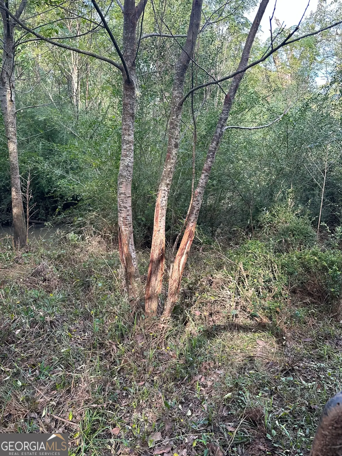 0 Seven Islands Road, Madison, GA 30650 - Image #1