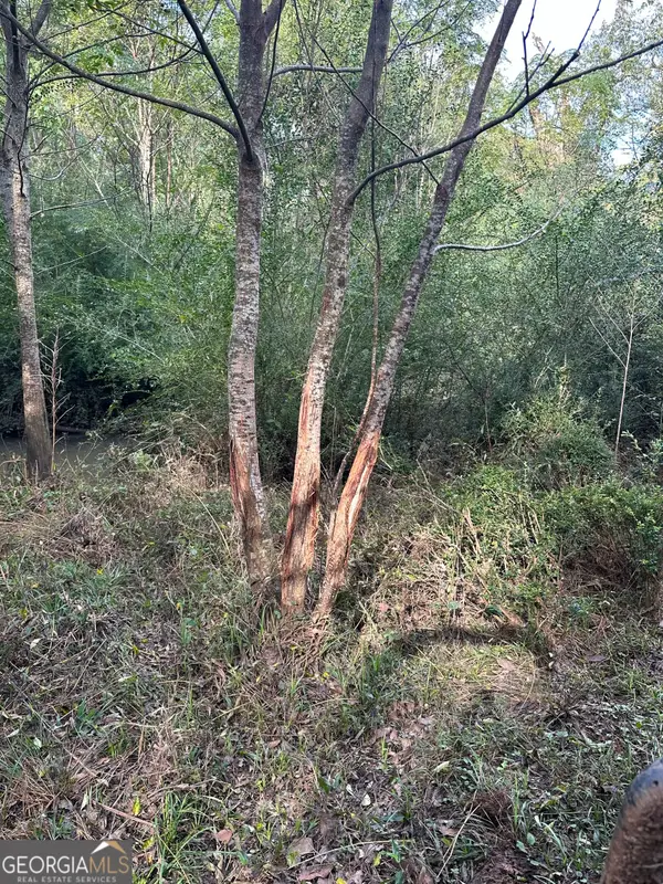 0 Seven Islands Road, Madison, GA 30650