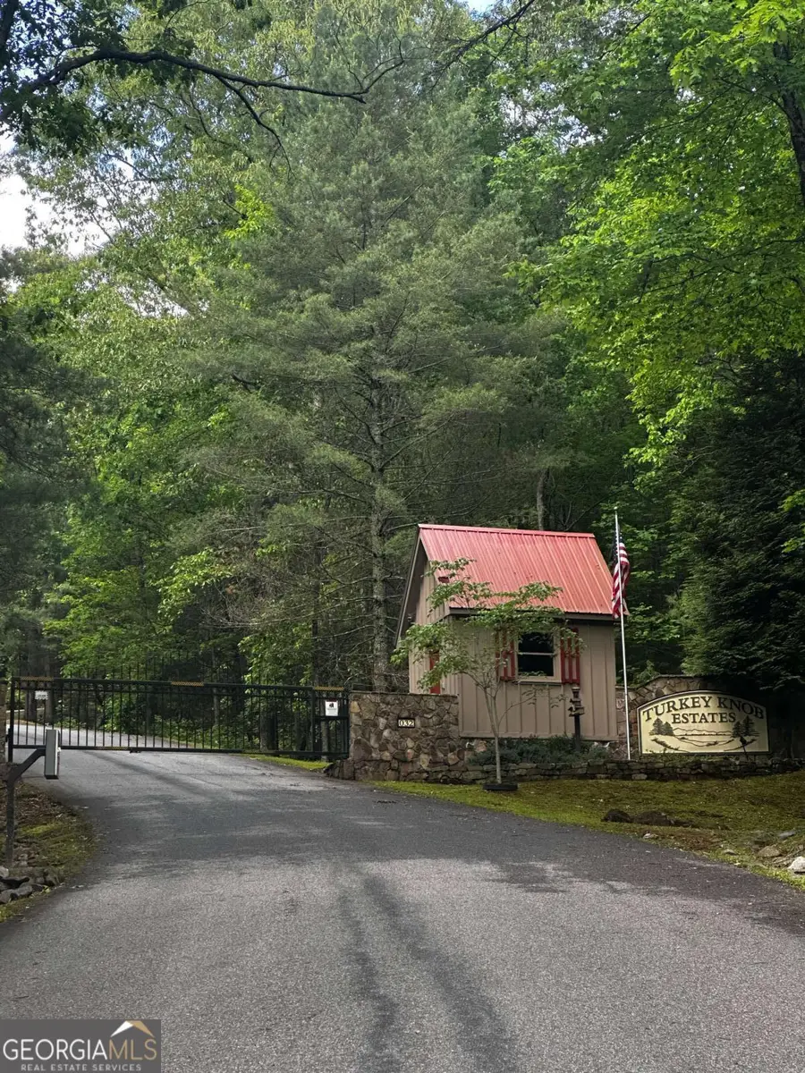 LOT 14 Oceola Drive, Ellijay, GA 30540 - #3