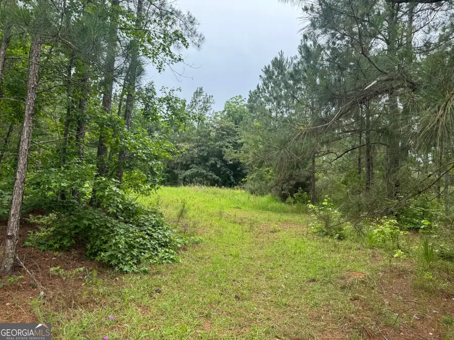 0 Highway 80 W, Portal, GA 30450 - Image #2