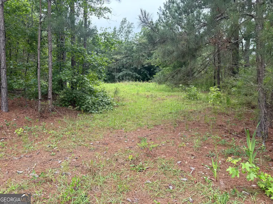 0 Highway 80 W, Portal, GA 30450 - Image #3