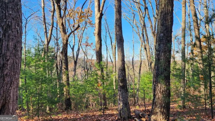 0 Meadowlands Drive, Talking Rock, GA 30175 - #3