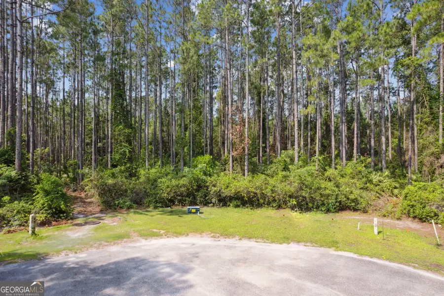 116 Wild Horse Court, Saint Marys, GA 31558 - Image #3