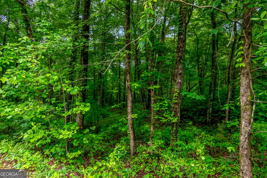 LOT 44 Harris Creek Drive #44, Ellijay, GA 30540 - #2