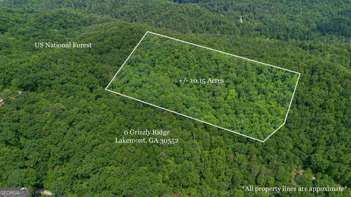 0 Grizzly Ridge Road, Lakemont, GA 30552 - Image #1