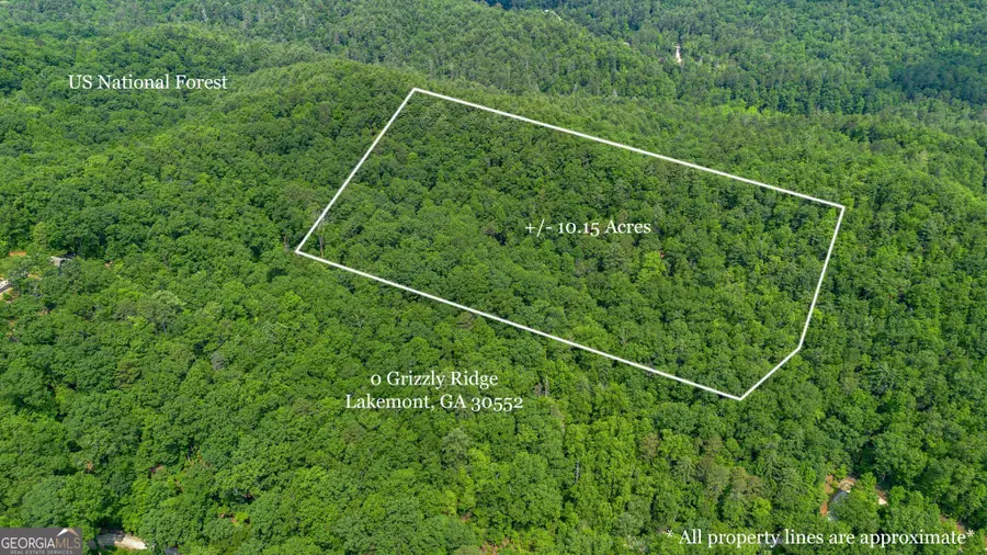0 Grizzly Ridge Road, Lakemont, GA 30552 - Image #3