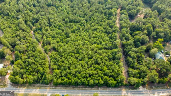 0 Halcyondale Road, Sylvania, GA 30467