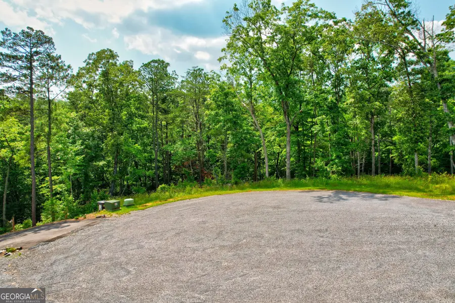 LOT 16 Lake Top Lane, Ellijay, GA 30540 - #2