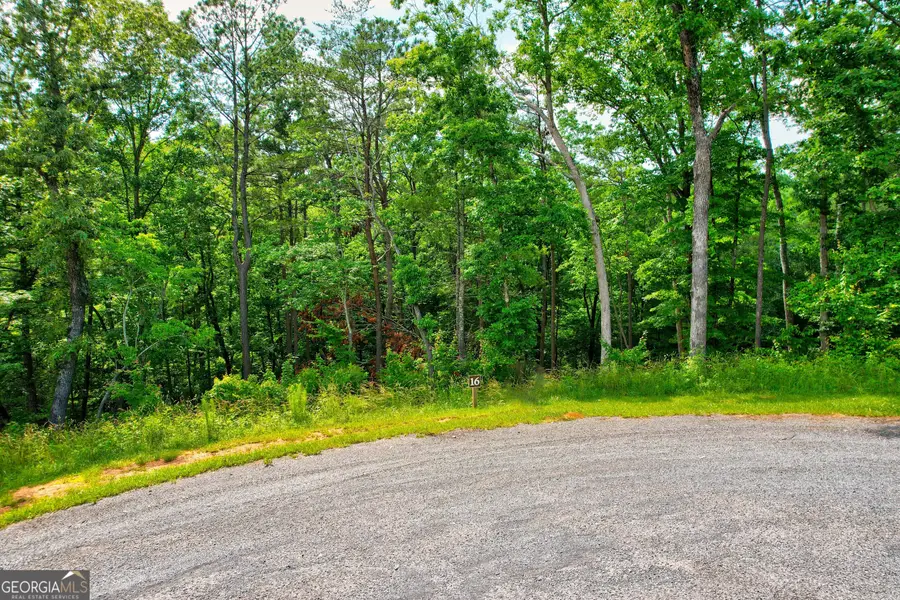 LOT 16 Lake Top Lane, Ellijay, GA 30540 - #3