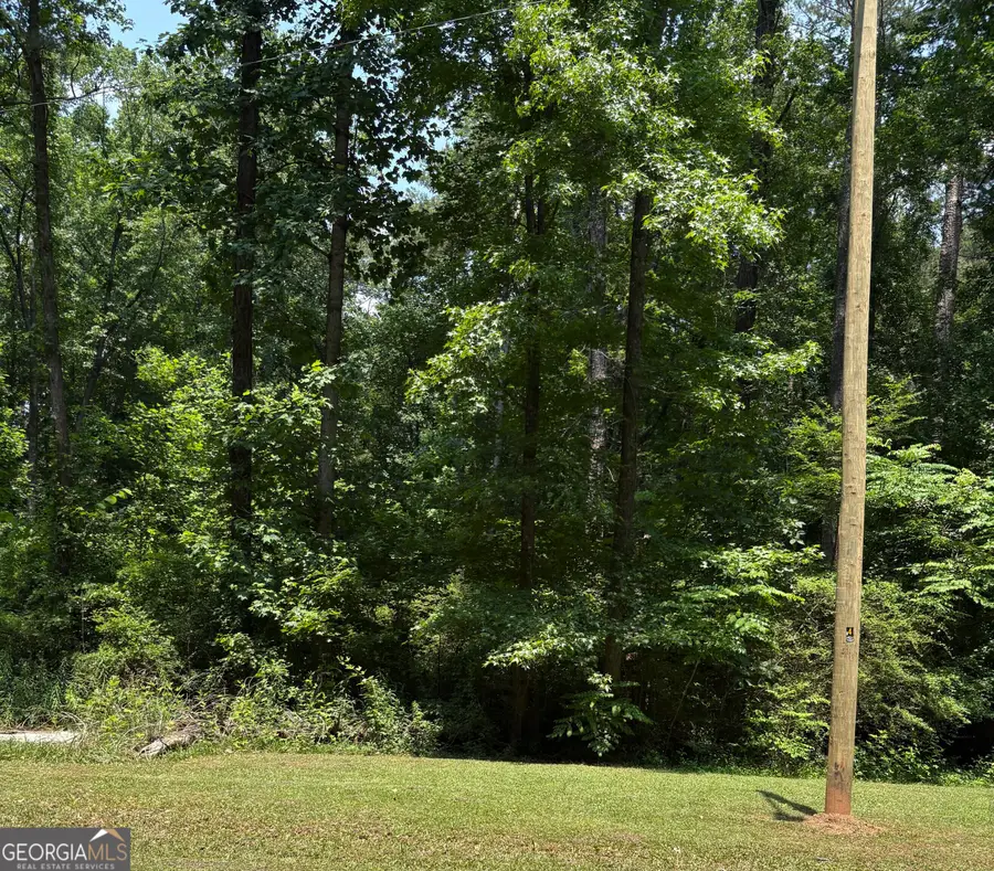 0 Shields Road, Stockbridge, GA 30281 - Image #3