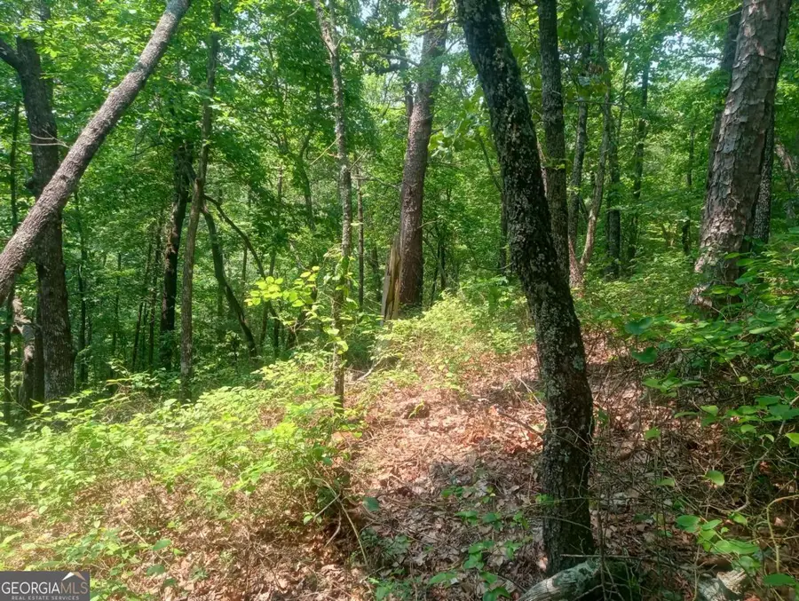 LT 1227 Hilton Drive #1227, Ranger, GA 30734 - Image #2