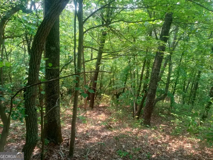 LT 1227 Hilton Drive #1227, Ranger, GA 30734 - Image #3