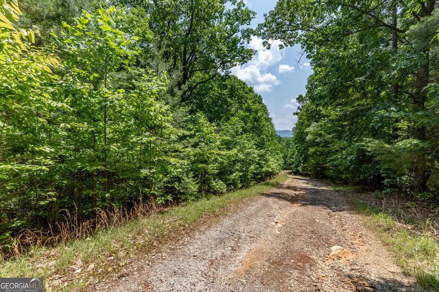 LOT 6 Wild Turkey #64, Young Harris, GA 30582 - Image #3