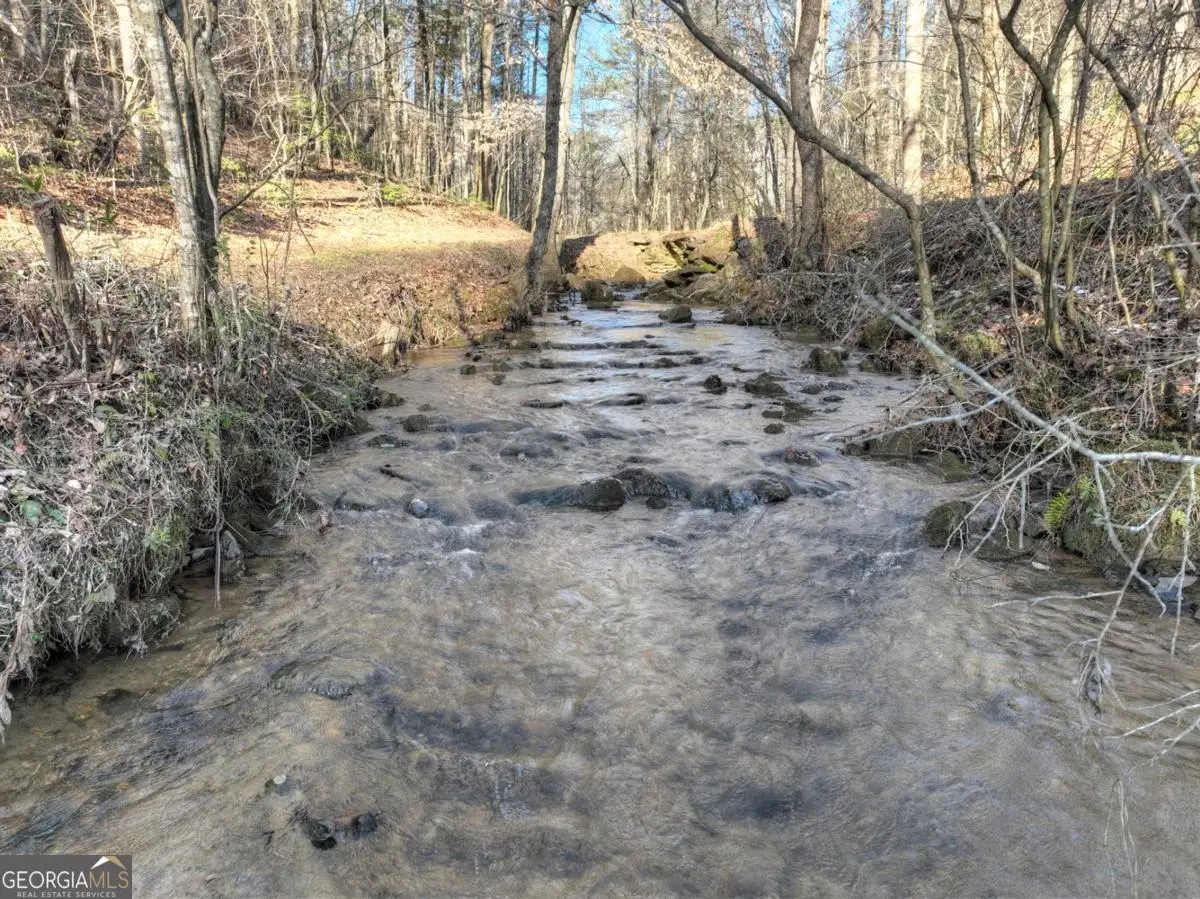 394 Cowboy Trail, Ellijay, GA 30540 - Image #1