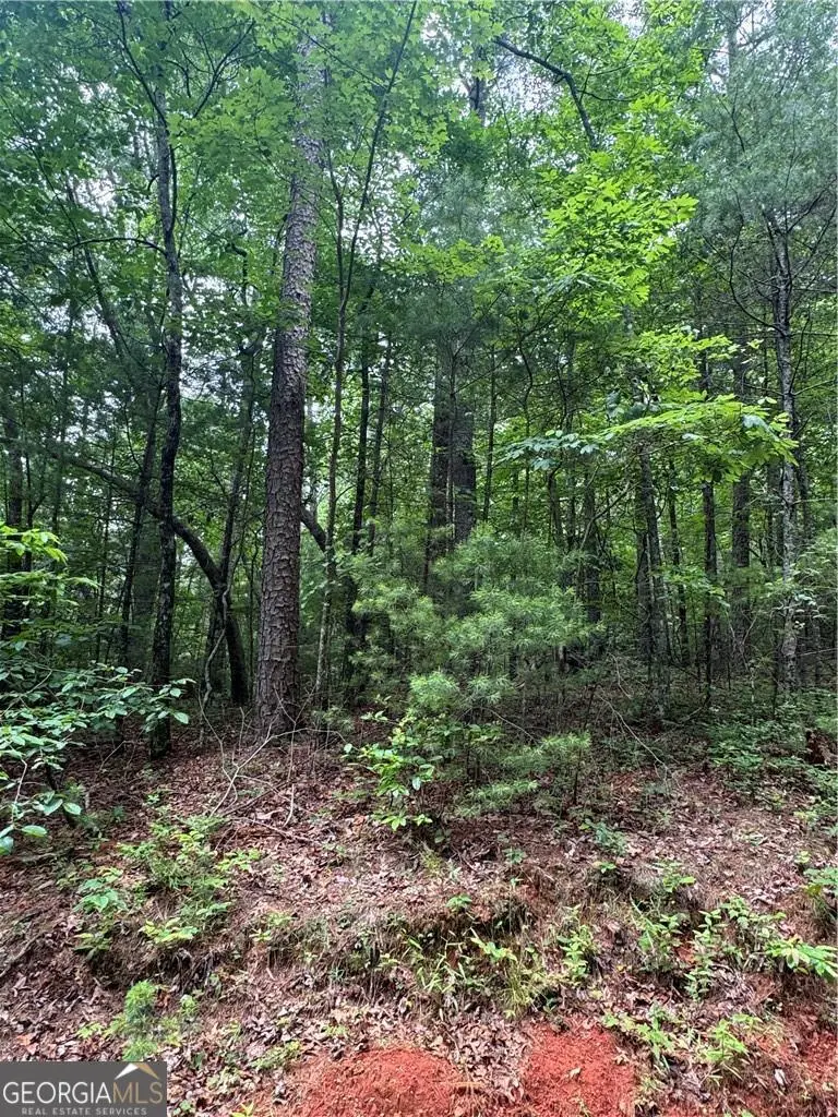 0 Nimblewill Creek Road, Dahlonega, GA 30533 - Image #3