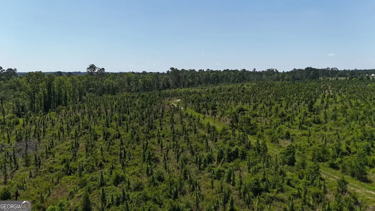 0 Deer Run Road, Vidalia, GA 30474 - Image #1