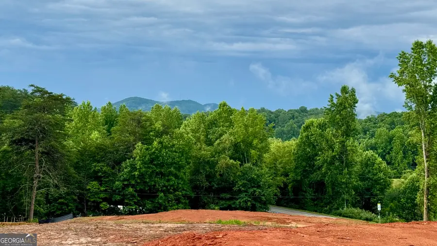 25 Caudell Drive, Cleveland, GA 30528 - #2