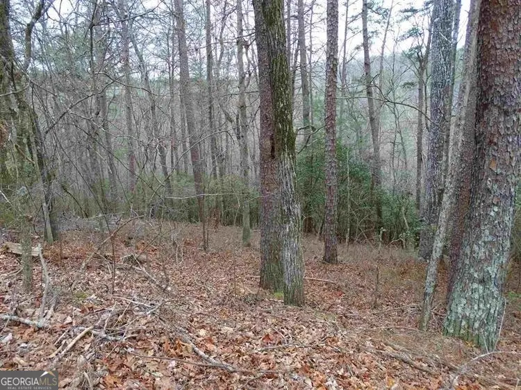 0 Valhalla Drive, Cleveland, GA 30528 - #2