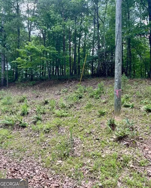 133 Adair Drive Ne, Ranger, GA 30734 - Image #2