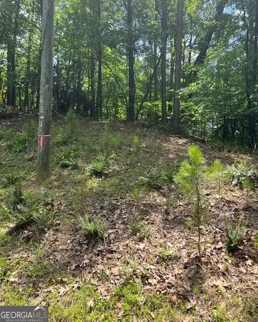 133 Adair Drive Ne, Ranger, GA 30734 - Image #3