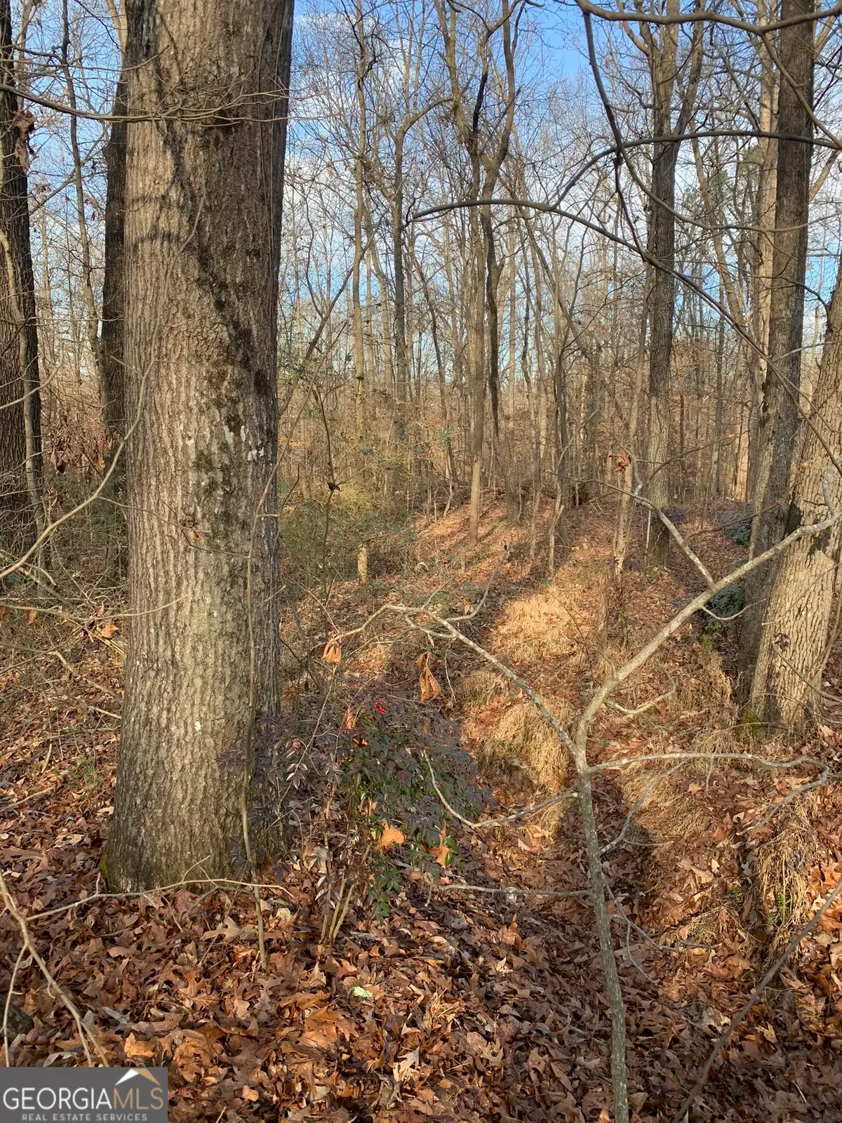 0 S Tanglewood Drive, Royston, GA 30662 - Image #1