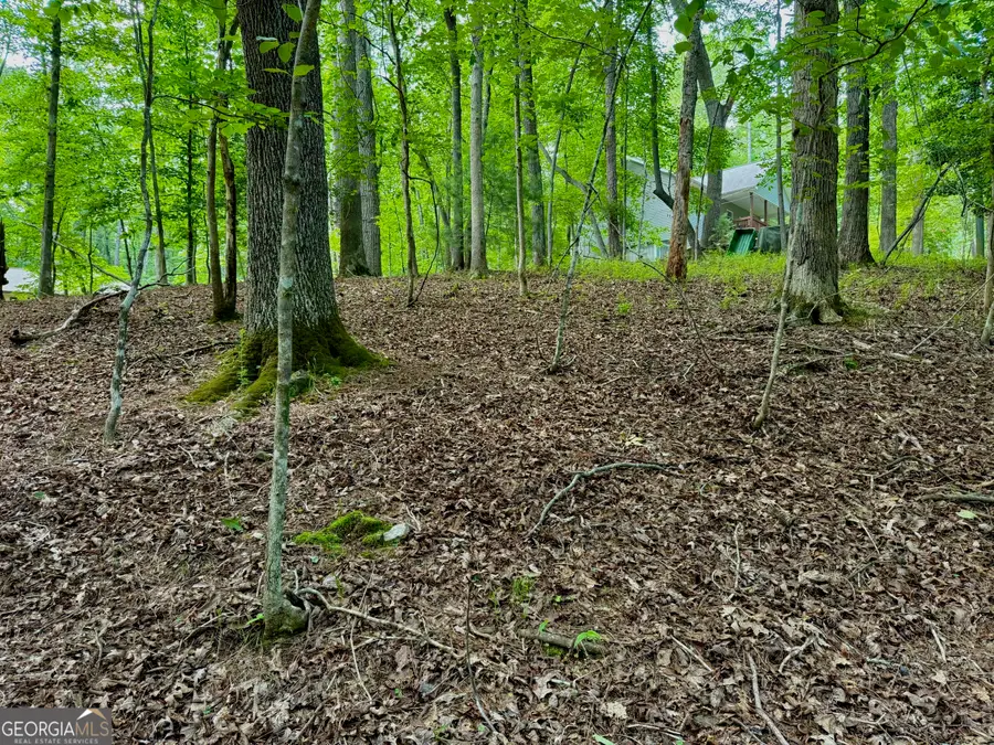 694 Echo Lane, Ellijay, GA 30540 - Image #2