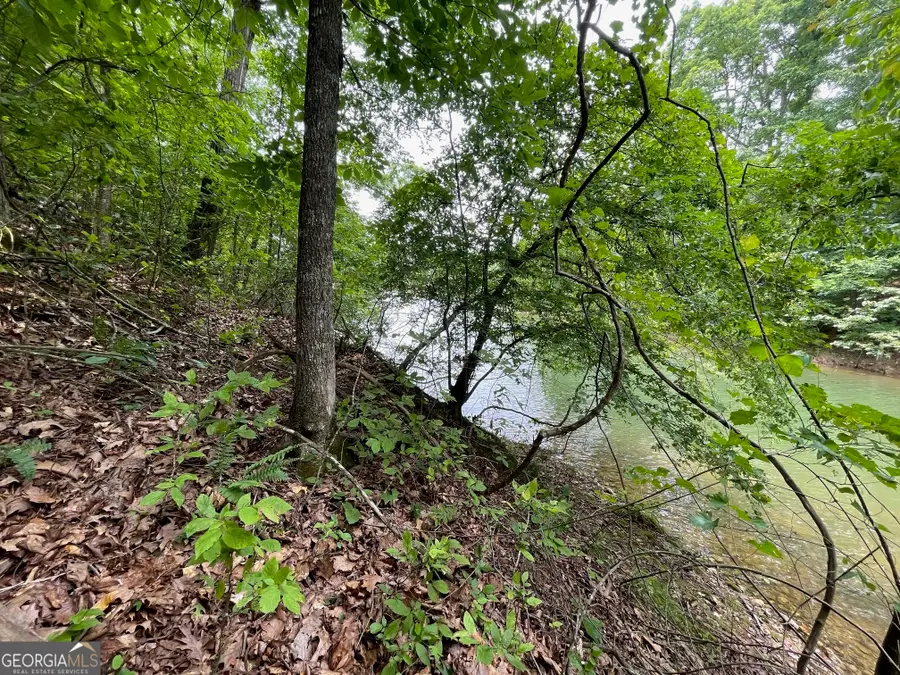 LOT 1682 Point Road, Westminster, SC 29693 - Image #2