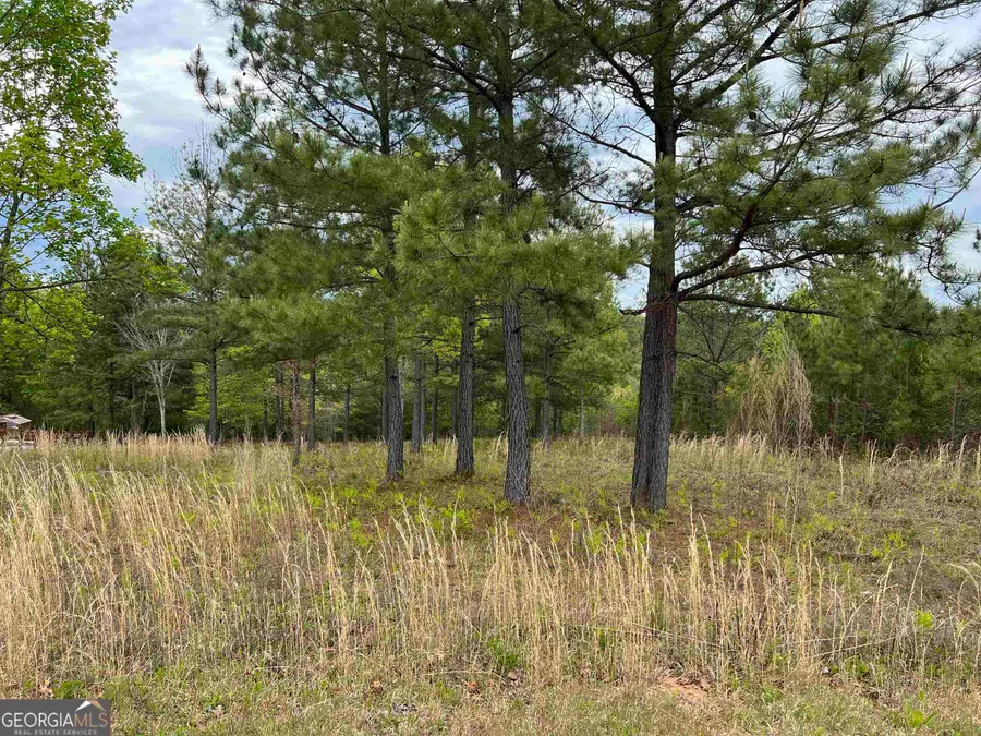 LOT 65 Village Loop, Blairsville, GA 30512 - Image #2