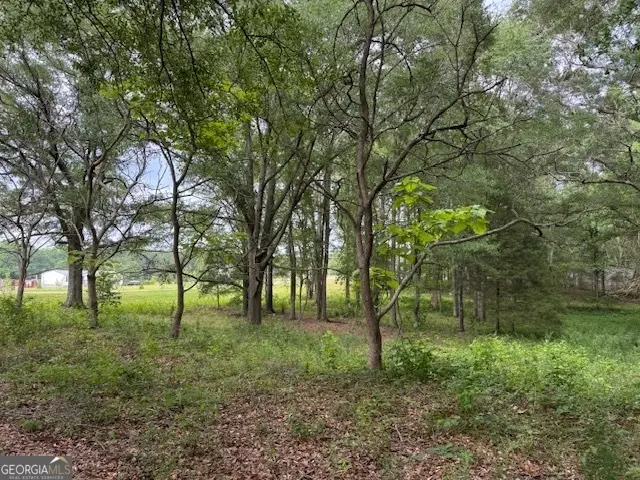 92 Holliday Road, Franklin, GA 30217 - #1