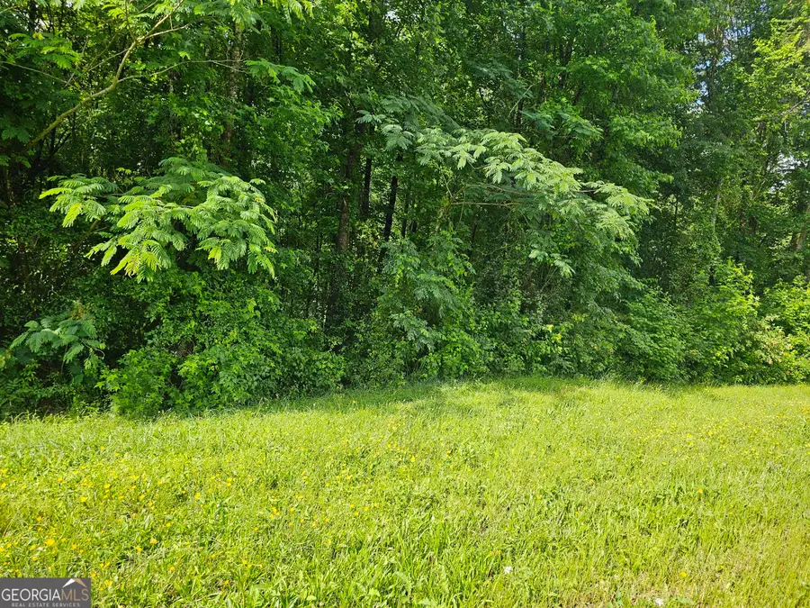 12109 Brown Bridge Road, Covington, GA 30016 - Image #3