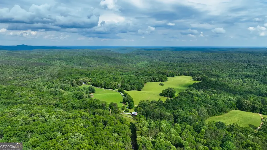 1447 Travis Smith Road, Clarkesville, GA 30523 - #3