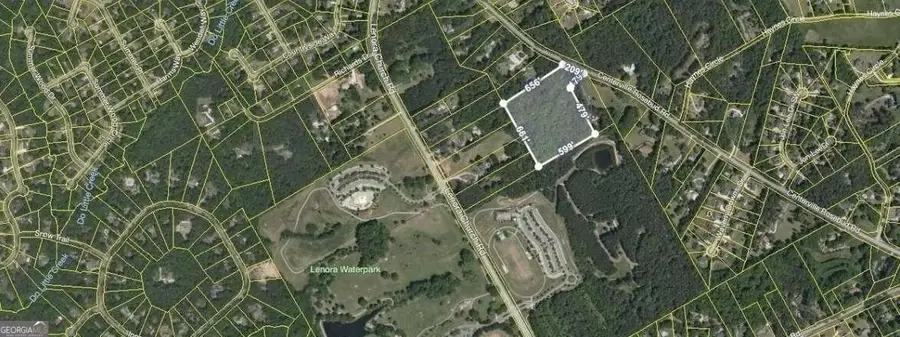 2918 Centerville Rosebud Road, Snellville, GA 30039 - #3