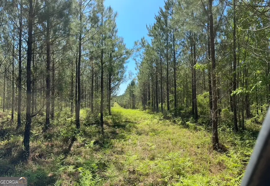 0 Jim Pruett Road, Eastman, GA 31023 - Image #2