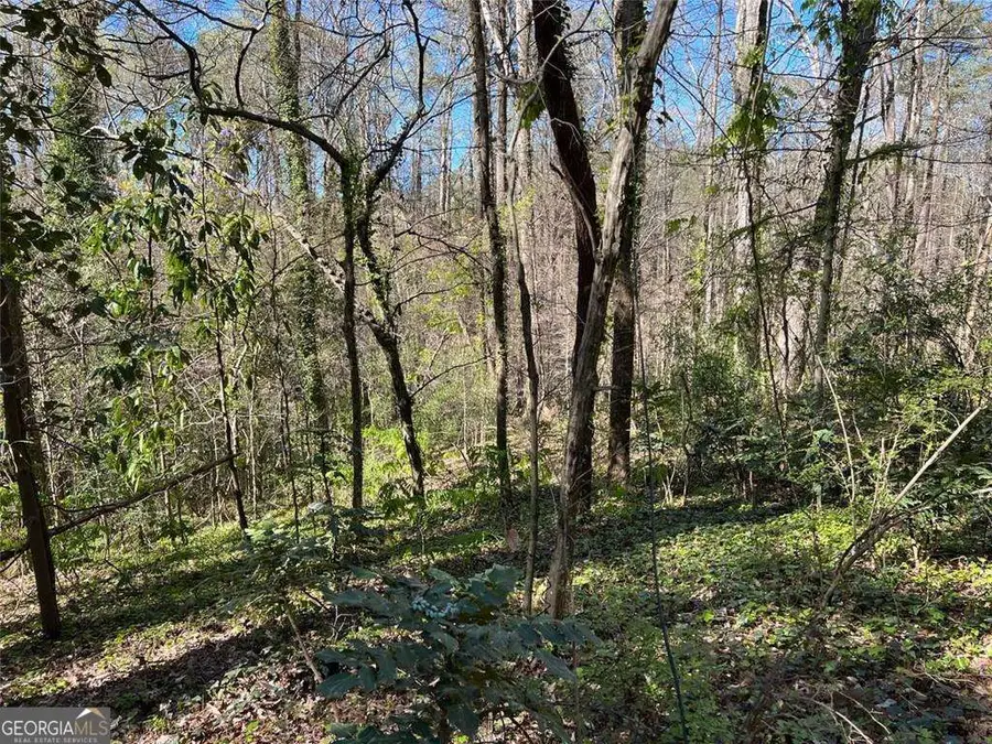 2455 Dodson Drive, Atlanta, GA 30344 - Image #3