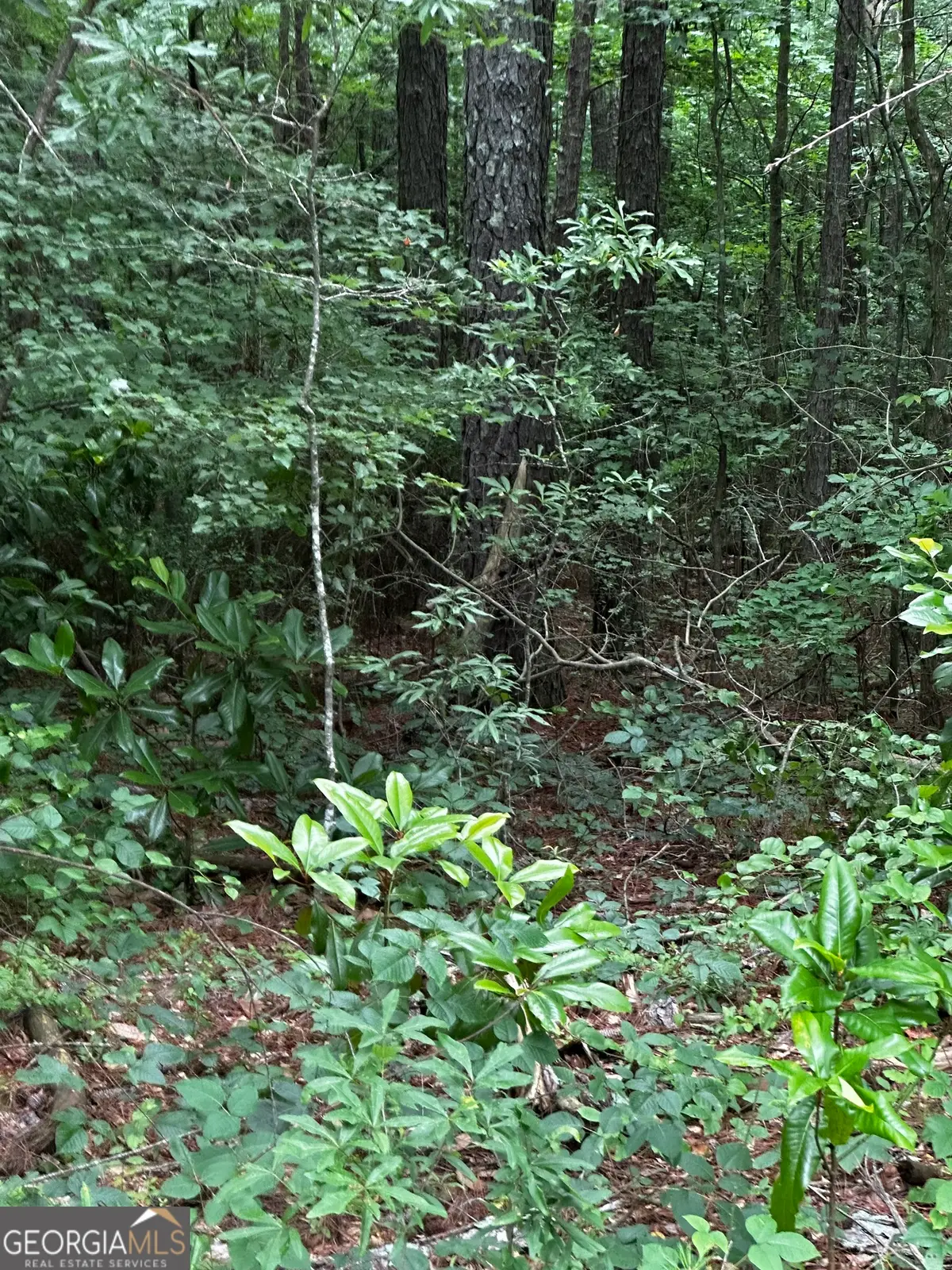 0 Ayers Road, Bowdon, GA 30108 - #1